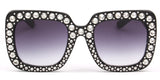 Iowa Sunglasses