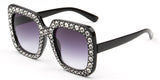 Iowa Sunglasses