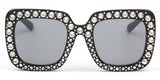 Iowa Sunglasses
