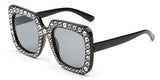 Iowa Sunglasses