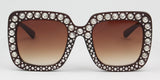 Iowa Sunglasses