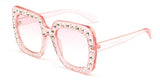 Iowa Sunglasses
